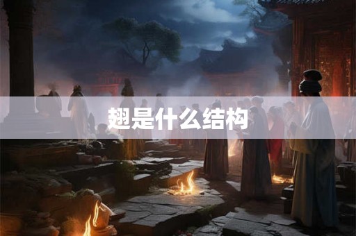 翅是什么结构