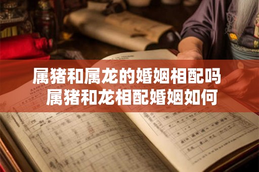 属猪和属龙的婚姻相配吗  属猪和龙相配婚姻如何