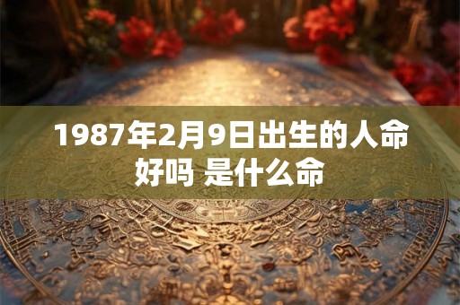 1987年2月9日出生的人命好吗 是什么命