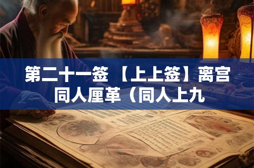 第二十一签 【上上签】离宫 同人厘革（同人上九