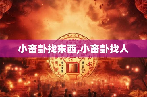 小畜卦找东西,小畜卦找人