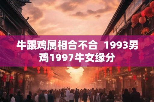 牛跟鸡属相合不合  1993男鸡1997牛女缘分