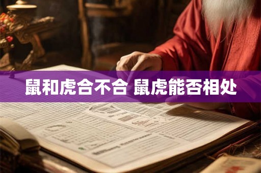 鼠和虎合不合 鼠虎能否相处