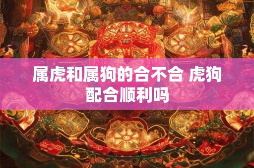 属虎和属狗的合不合 虎狗配合顺利吗 属虎和属狗的合不合 虎狗配合顺利吗
