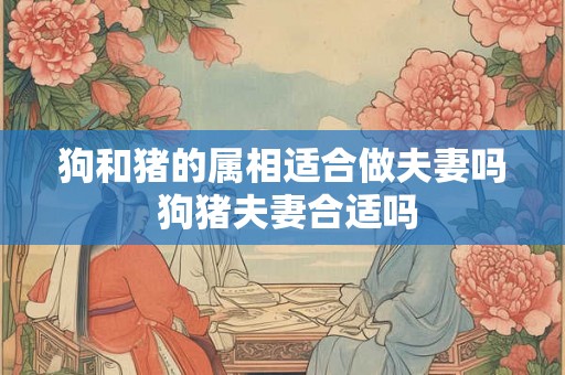 狗和猪的属相适合做夫妻吗 狗猪夫妻合适吗 狗和猪的属相适合做夫妻吗 狗猪夫妻合适吗