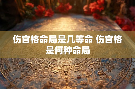 伤官格命局是几等命 伤官格是何种命局 伤官格命局是几等命 伤官格是何种命局