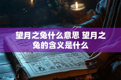 望月之兔什么意思 望月之兔的含义是什么 望月之兔什么意思 望月之兔的含义是什么