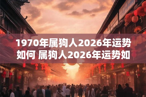 1970年属狗人2026年运势如何 属狗人2026年运势如何