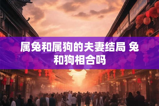 属兔和属狗的夫妻结局 兔和狗相合吗