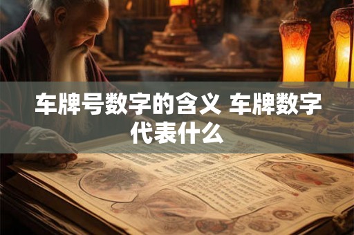 车牌号数字的含义 车牌数字代表什么