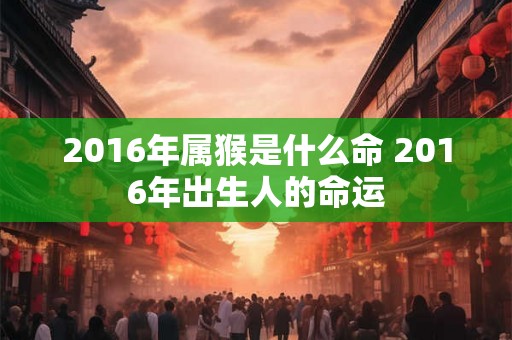 2016年属猴是什么命 2016年出生人的命运