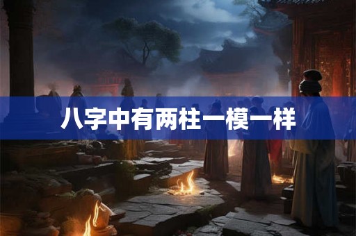 八字中有两柱一模一样 八字中有两柱一模一样