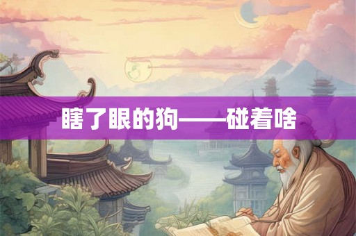 瞎了眼的狗——碰着啥