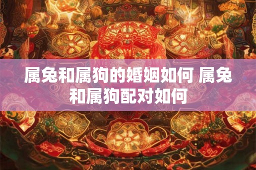 属兔和属狗的婚姻如何 属兔和属狗配对如何