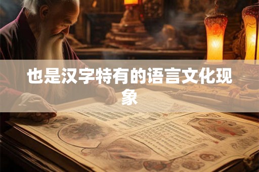 也是汉字特有的语言文化现象