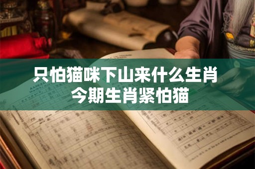 只怕猫咪下山来什么生肖 今期生肖紧怕猫 只怕猫咪下山来什么生肖 今期生肖紧怕猫