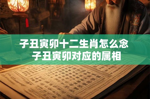 子丑寅卯十二生肖怎么念  子丑寅卯对应的属相