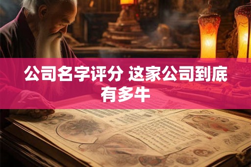 公司名字评分 这家公司到底有多牛