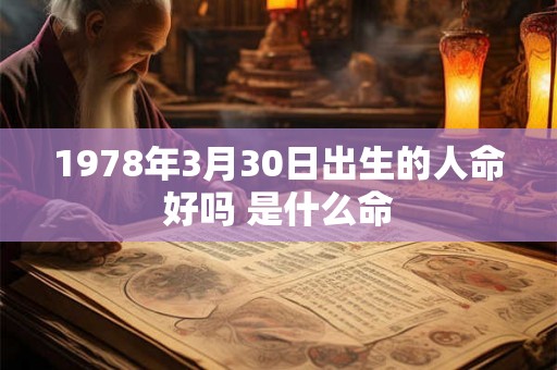1978年3月30日出生的人命好吗 是什么命 1978年3月30日出生的人命好吗 是什么命