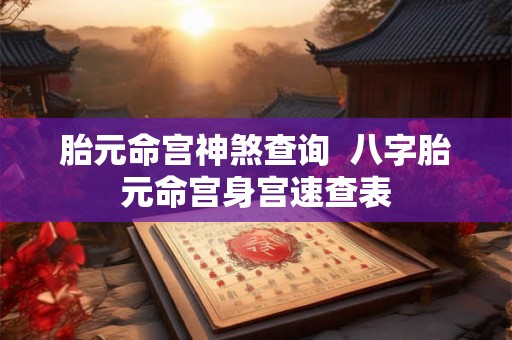 胎元命宫神煞查询  八字胎元命宫身宫速查表