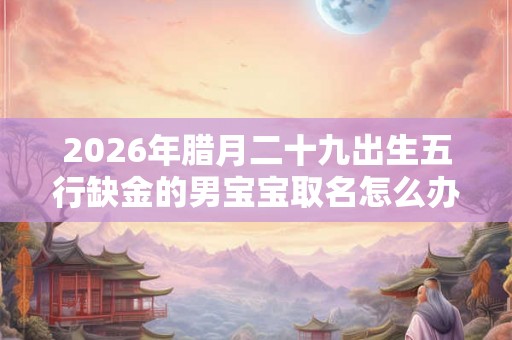 2026年腊月二十九出生五行缺金的男宝宝取名怎么办