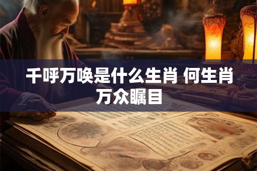 千呼万唤是什么生肖 何生肖万众瞩目 千呼万唤是什么生肖 何生肖万众瞩目