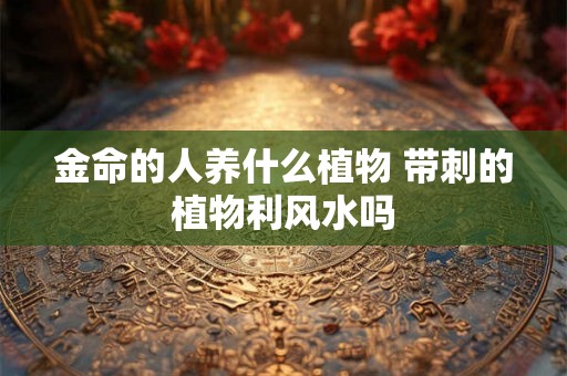 金命的人养什么植物 带刺的植物利风水吗
