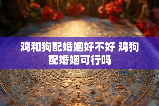 鸡和狗配婚姻好不好 鸡狗配婚姻可行吗 鸡和狗配婚姻好不好 鸡狗配婚姻可行吗
