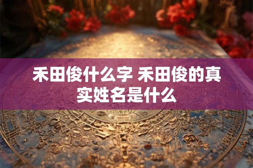 禾田俊什么字 禾田俊的真实姓名是什么
