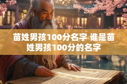 苗姓男孩100分名字 谁是苗姓男孩100分的名字