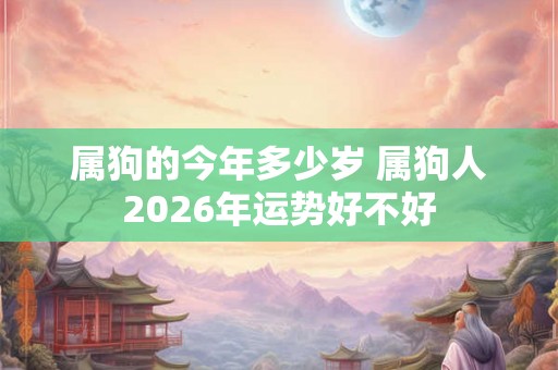 属狗的今年多少岁 属狗人2026年运势好不好 属狗的今年多少岁 属狗人2026年运势好不好