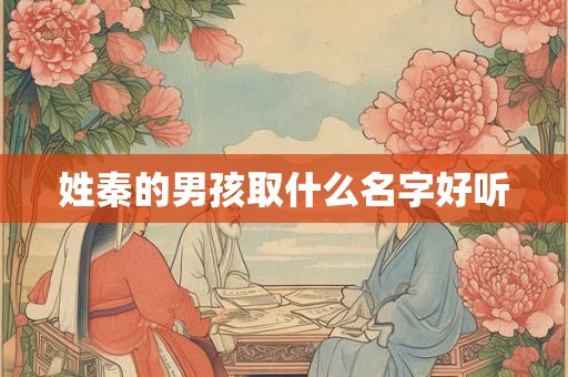 姓秦的男孩取什么名字好听