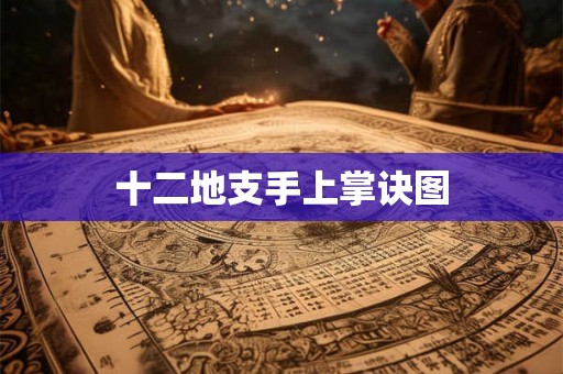 十二地支手上掌诀图