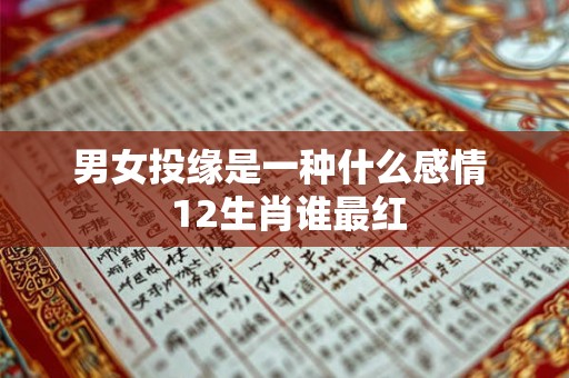男女投缘是一种什么感情  12生肖谁最红