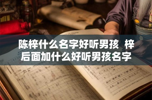 陈梓什么名字好听男孩  梓后面加什么好听男孩名字