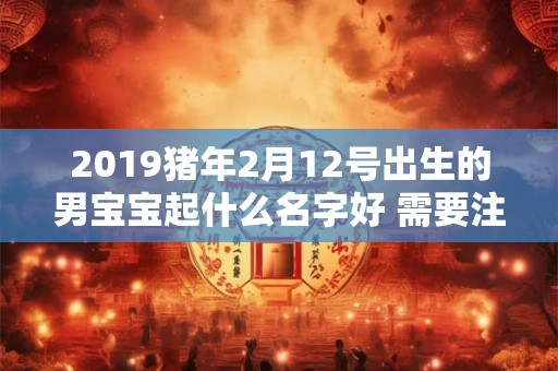 2019猪年2月12号出生的男宝宝起什么名字好 需要注意什么
