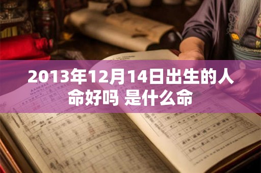 2013年12月14日出生的人命好吗 是什么命 2013年12月14日出生的人命好吗 是什么命