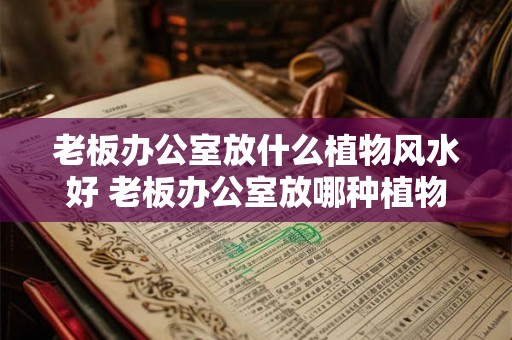 老板办公室放什么植物风水好 老板办公室放哪种植物最适合