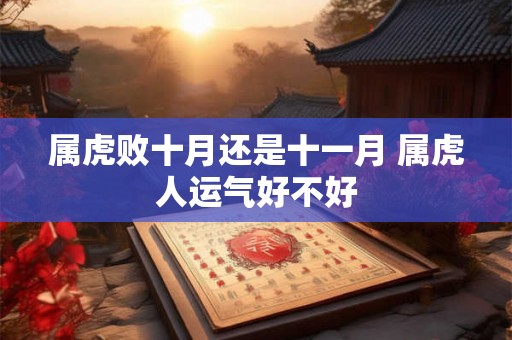 属虎败十月还是十一月 属虎人运气好不好