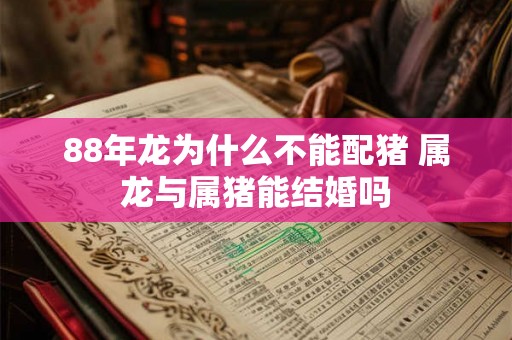 88年龙为什么不能配猪 属龙与属猪能结婚吗