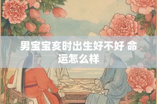 男宝宝亥时出生好不好 命运怎么样