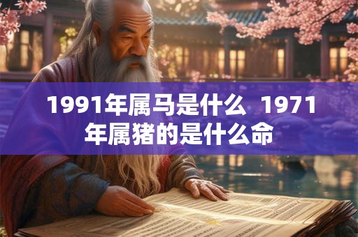 1991年属马是什么  1971年属猪的是什么命