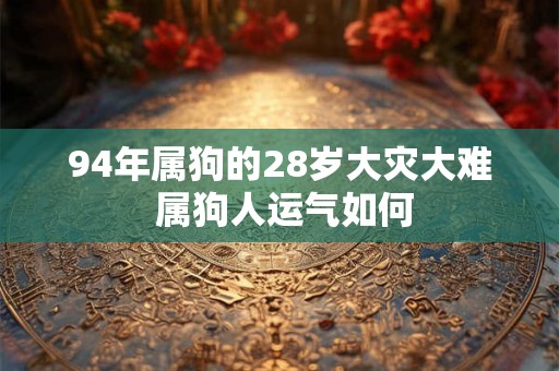 94年属狗的28岁大灾大难 属狗人运气如何 94年属狗的28岁大灾大难 属狗人运气如何