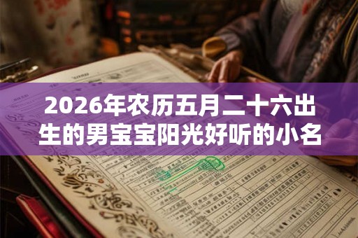 2026年农历五月二十六出生的男宝宝阳光好听的小名大全