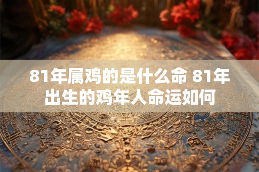 81年属鸡的是什么命 81年出生的鸡年人命运如何 81年属鸡的是什么命 81年出生的鸡年人命运如何
