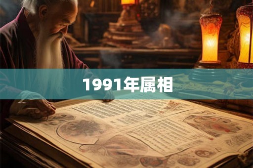 1991年属相 1991年属相