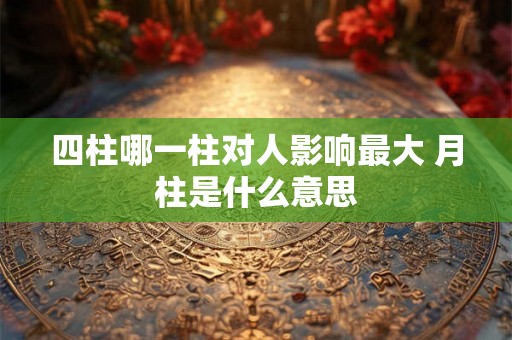 四柱哪一柱对人影响最大 月柱是什么意思