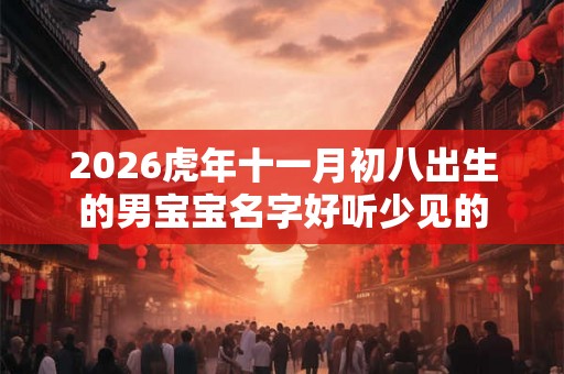 2026虎年十一月初八出生的男宝宝名字好听少见的