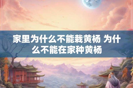 家里为什么不能栽黄杨 为什么不能在家种黄杨