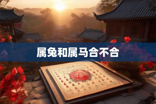 属兔和属马合不合